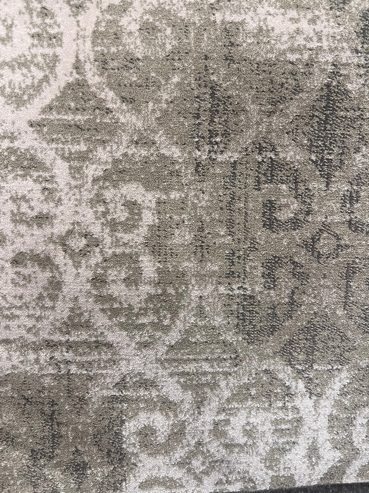 Clover Maharaja Carpet Collection