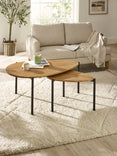 Lorette Teardrop Nest of 2 Coffee Tables