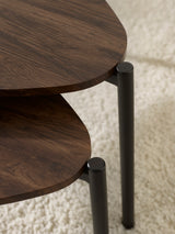 Lorette Teardrop Nest of 2 Coffee Tables