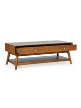 Lowry 2 Drawer Coffee Table with Shelf