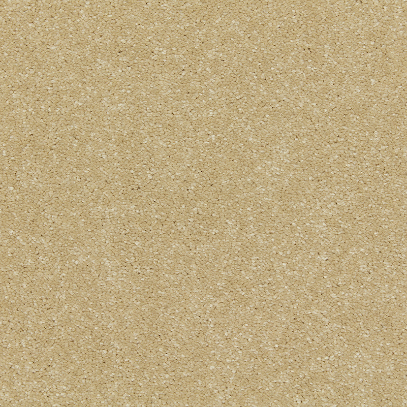 Carpets - Riva Range