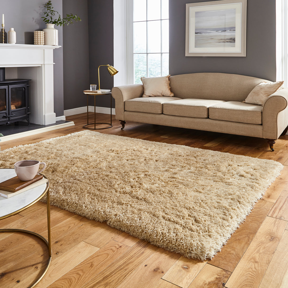 Polar Plush Beige Soft Shaggy Rug