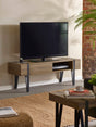 Troy TV Unit