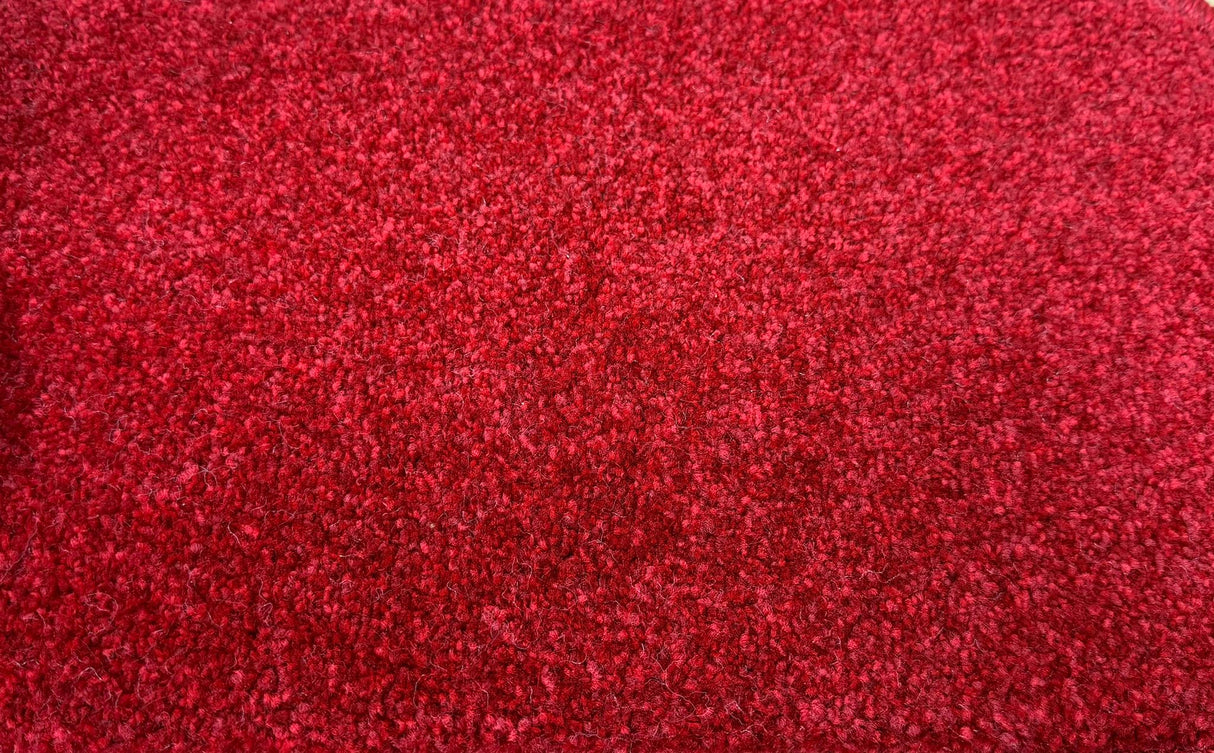 Peta Range - Luxurious Thick Pile Carpet – Soft, Durable & Affordable