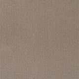 Carpets - Primo Textures