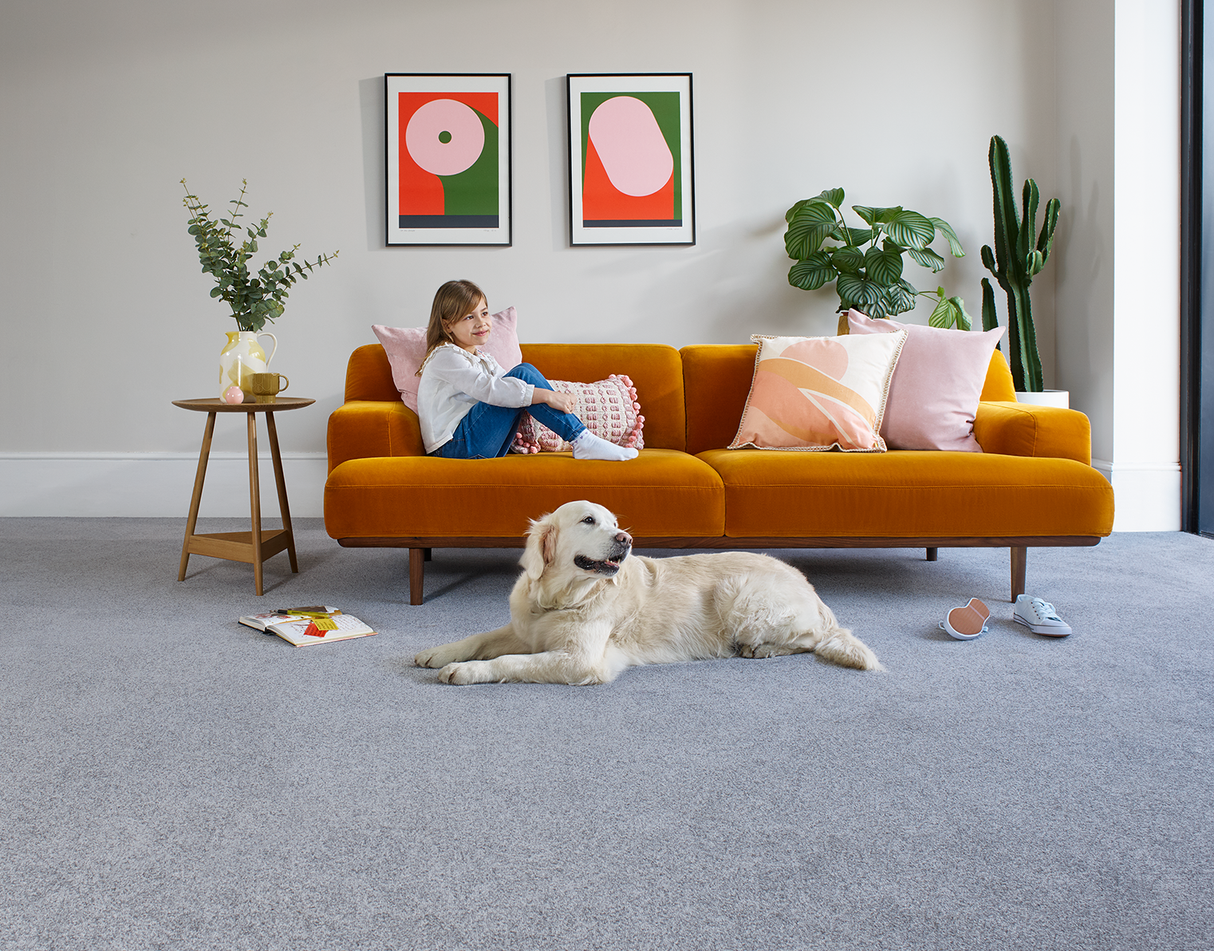 Carpets - Apollo Plus Range