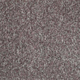 Bliss Carpet