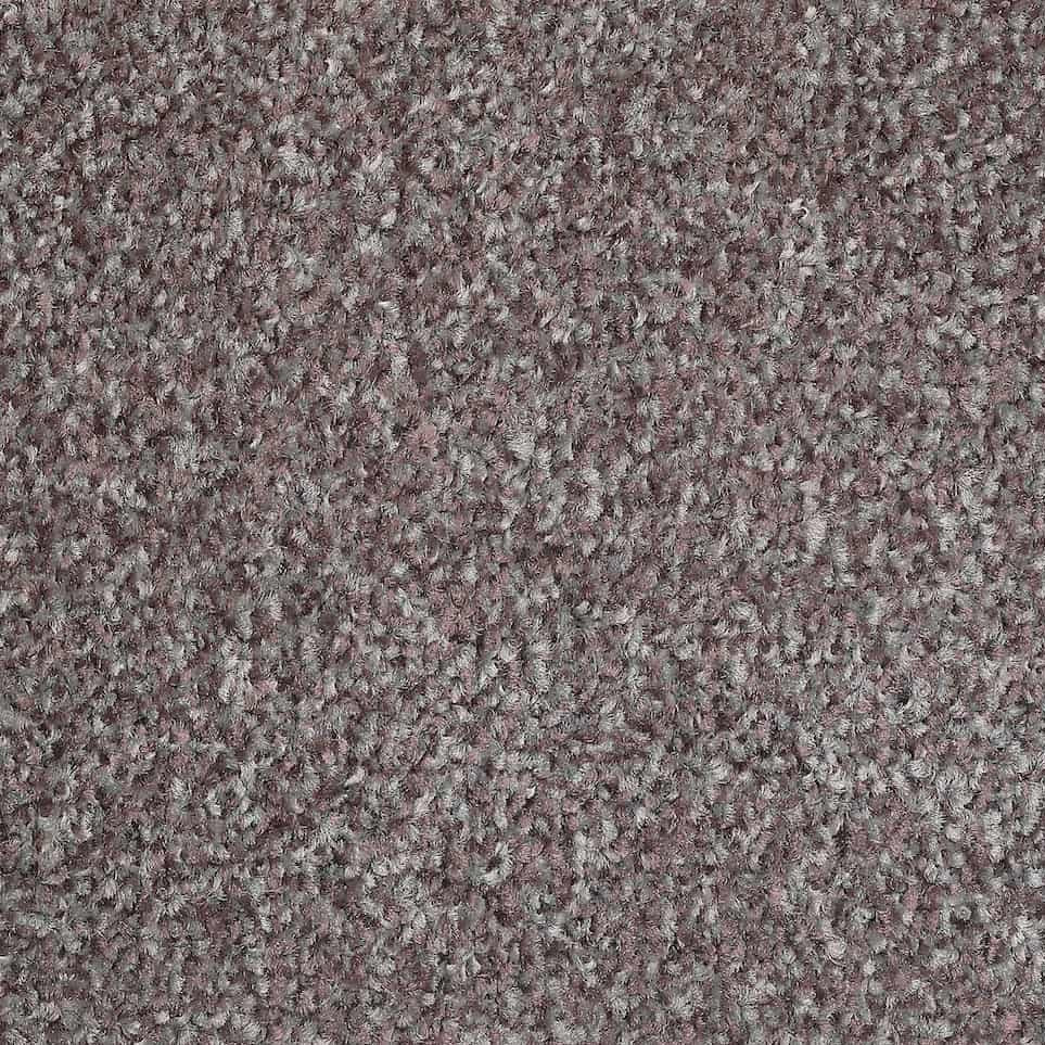 Bliss Carpet