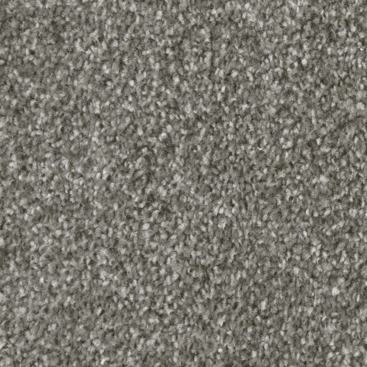 Bliss Carpet