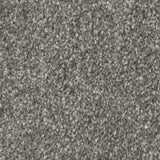 Bliss Carpet