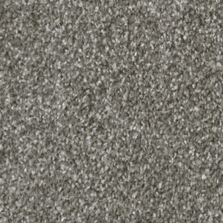 Bliss Carpet