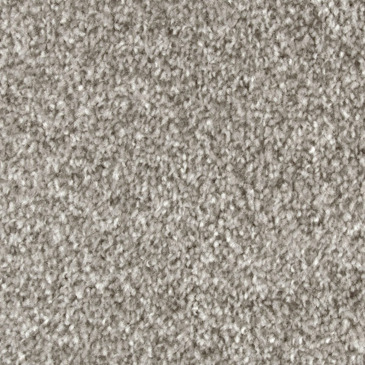 Bliss Carpet