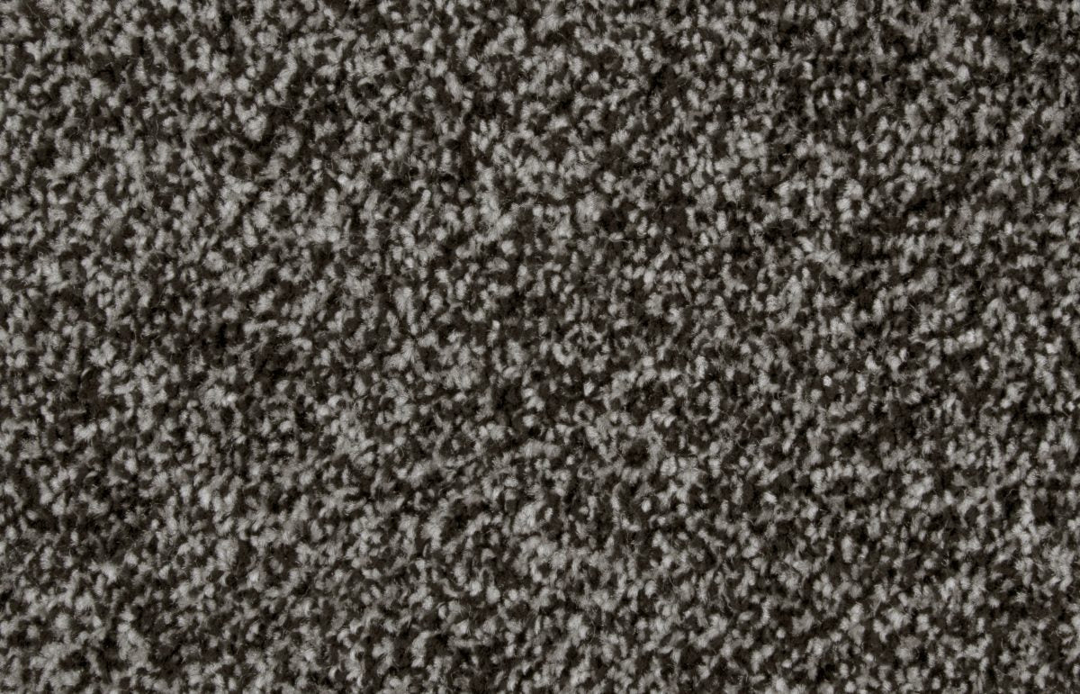 Bliss Carpet