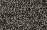 Bliss Carpet