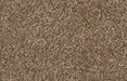 Bliss Carpet