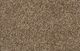 Bliss Carpet