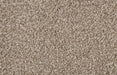Bliss Carpet