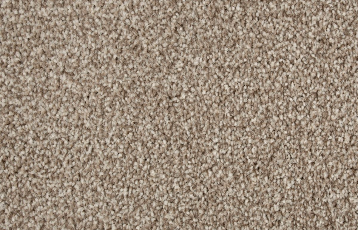 Bliss Carpet