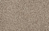 Bliss Carpet