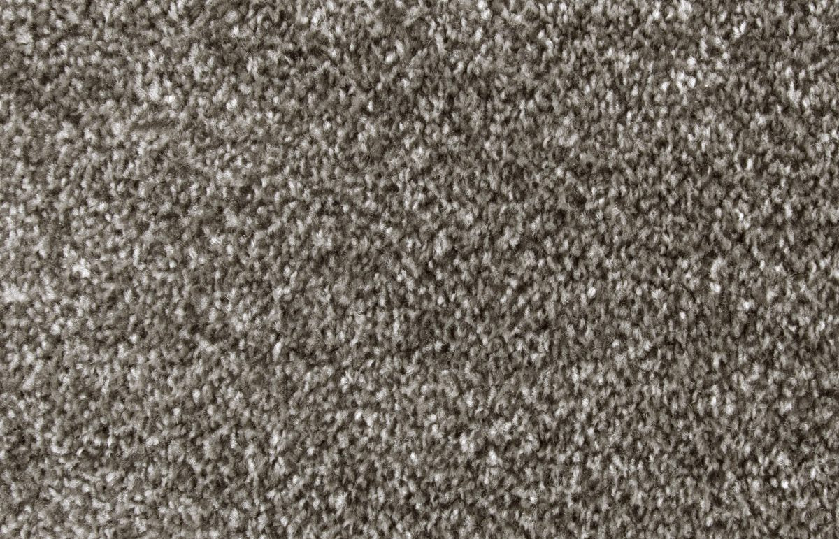 Bliss Carpet