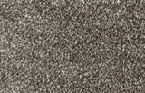 Bliss Carpet