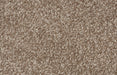 Bliss Carpet