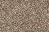 Bliss Carpet