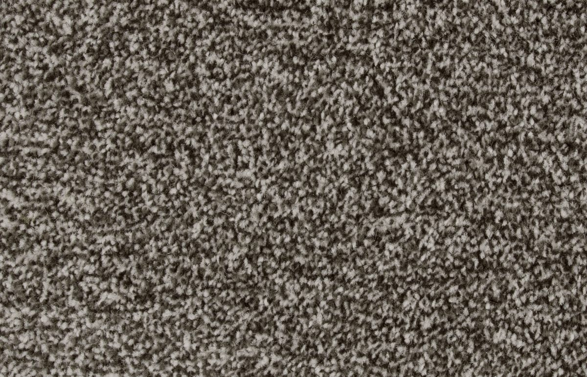 Bliss Carpet