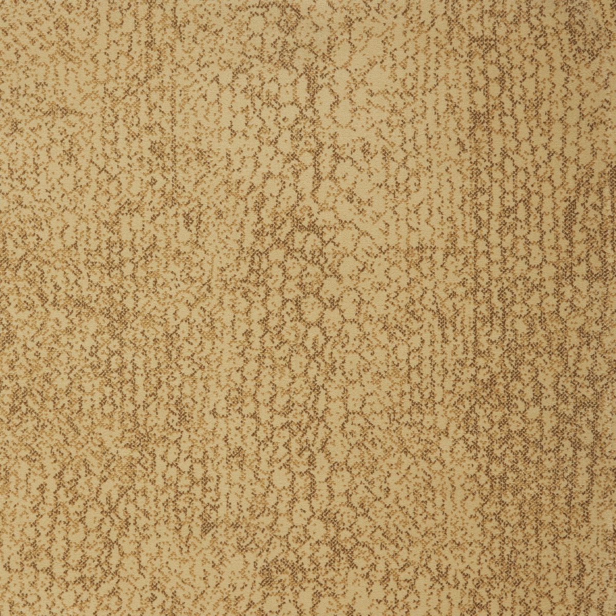 G Design Wilton Carpet
