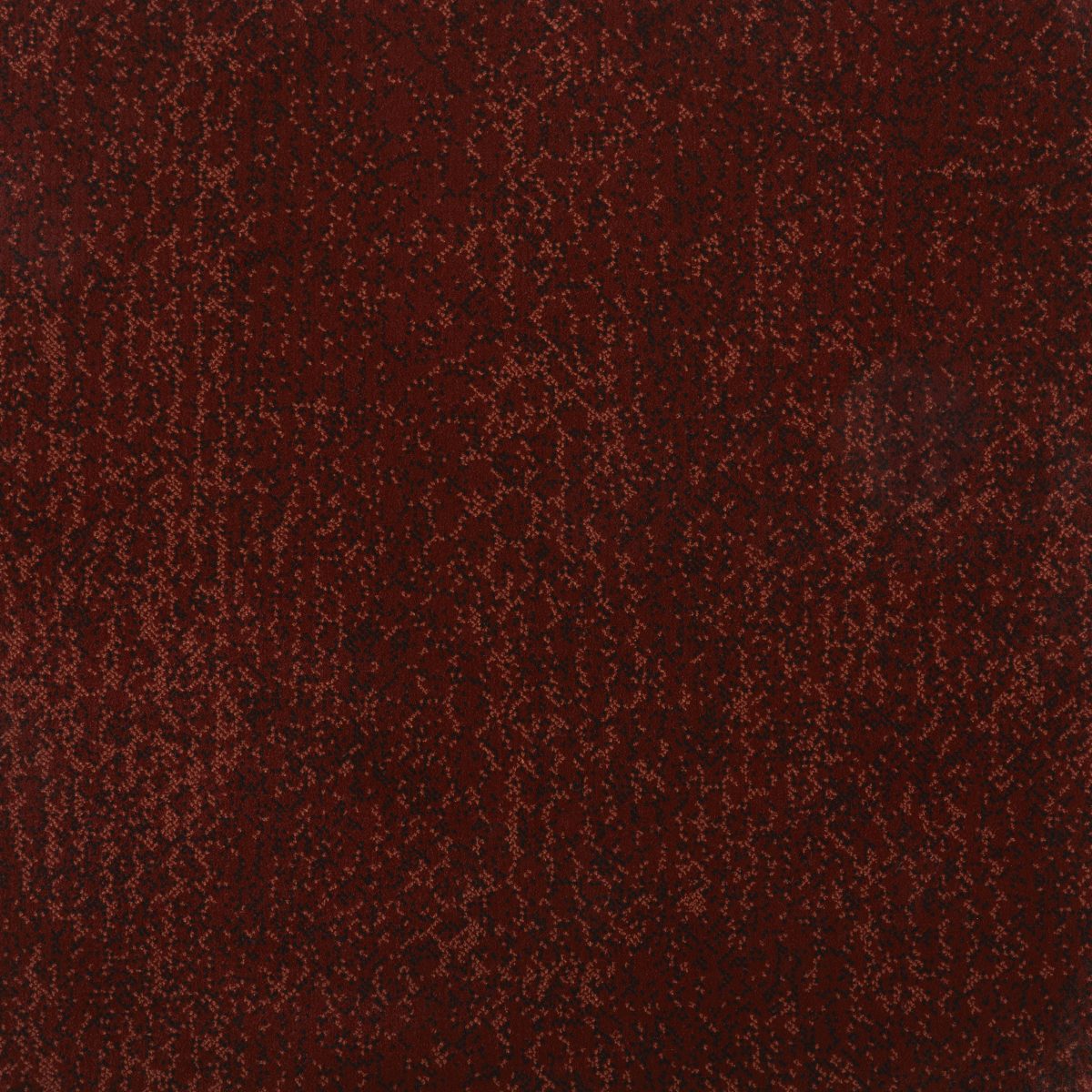 G Design Wilton Carpet