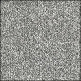 Velvet – Durable Everyday Carpet