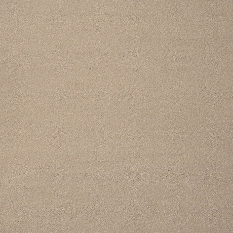 Carpets - Zenith Twist Range