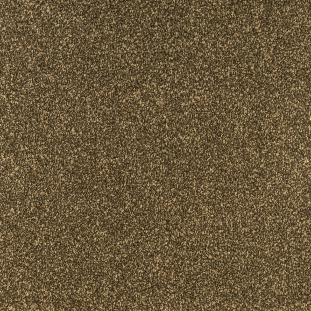 Jubily Range