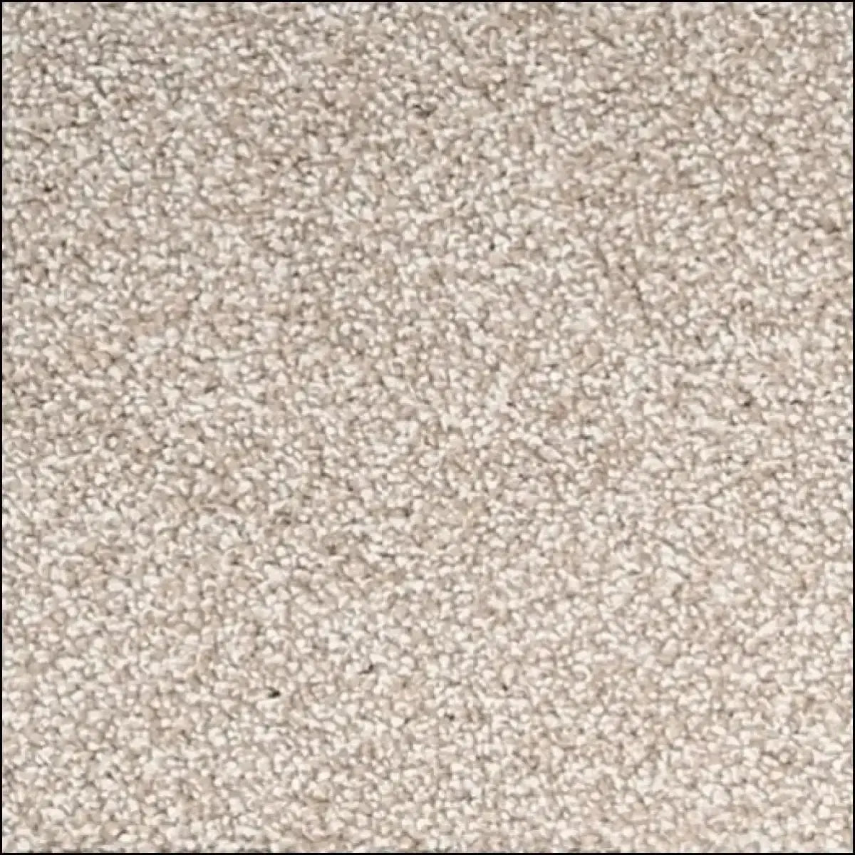 Kings Carpet Range – Luxury Thickness, Everyday Price