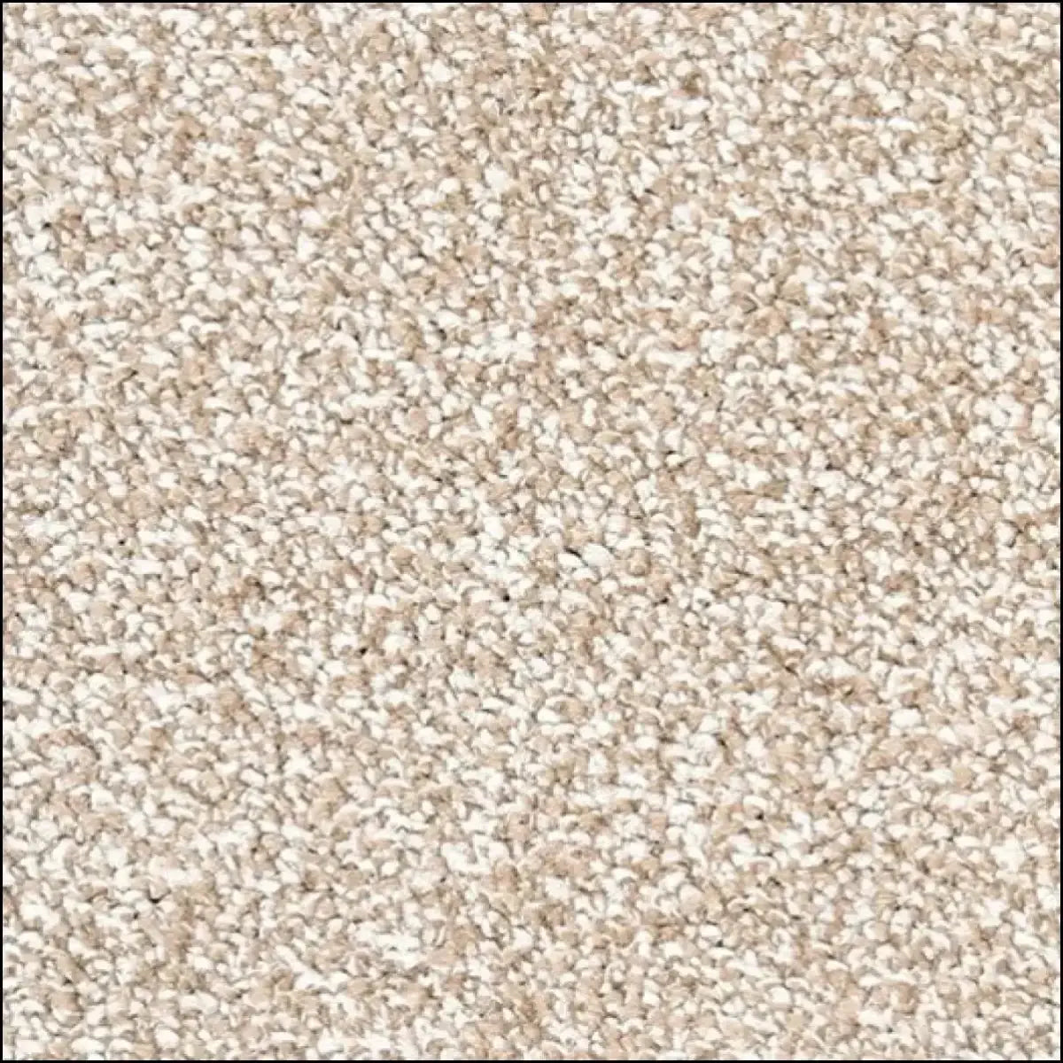 Kings Carpet Range – Luxury Thickness, Everyday Price