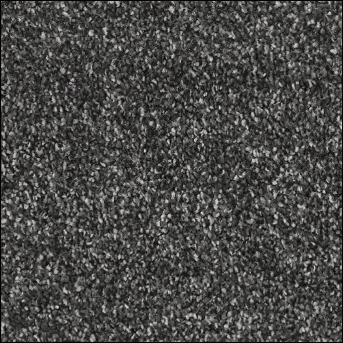 Kings Carpet Range – Luxury Thickness, Everyday Price