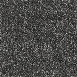Kings Carpet Range – Luxury Thickness, Everyday Price