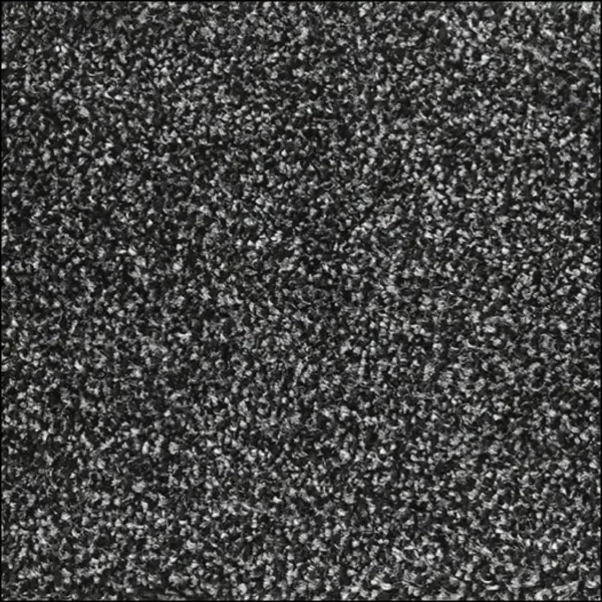 Kings Carpet Range – Luxury Thickness, Everyday Price