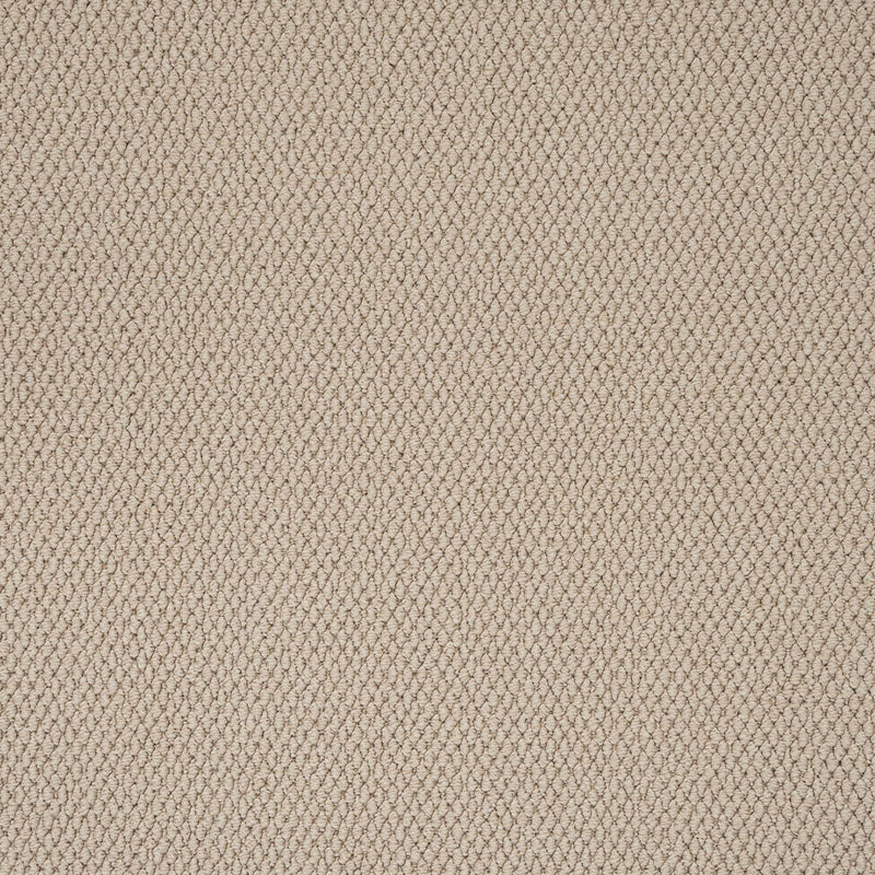 Carpets - Primo Textures
