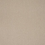 Carpets - Primo Textures