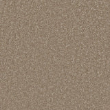 Carpet - Sensations Range