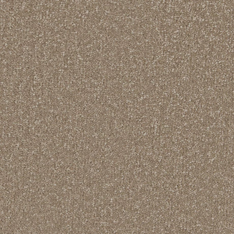 Carpet - Sensations Range