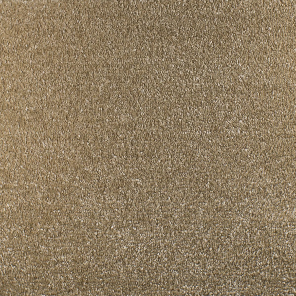 Serendipity Carpet