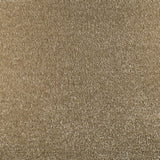 Serendipity Carpet
