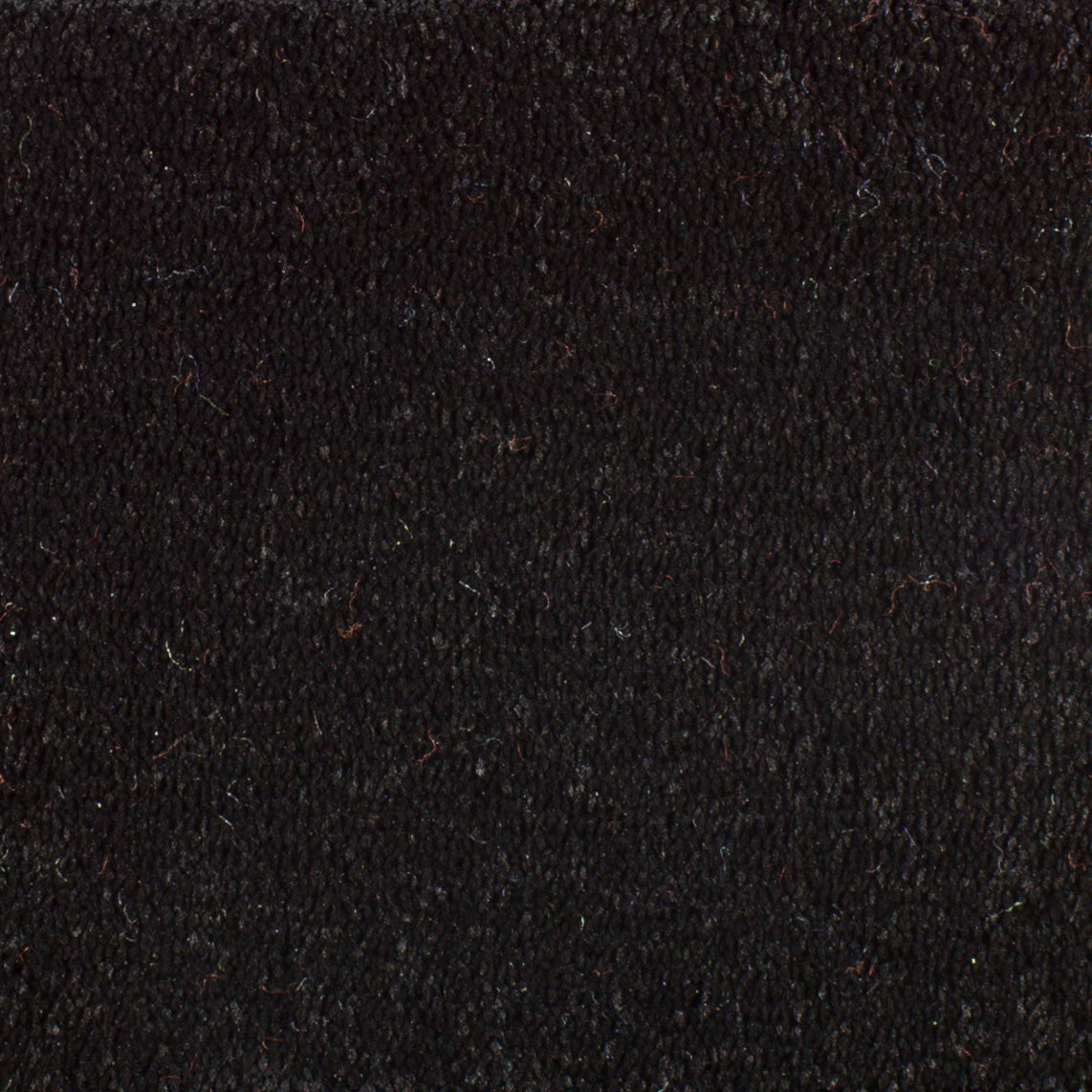 Serendipity Carpet