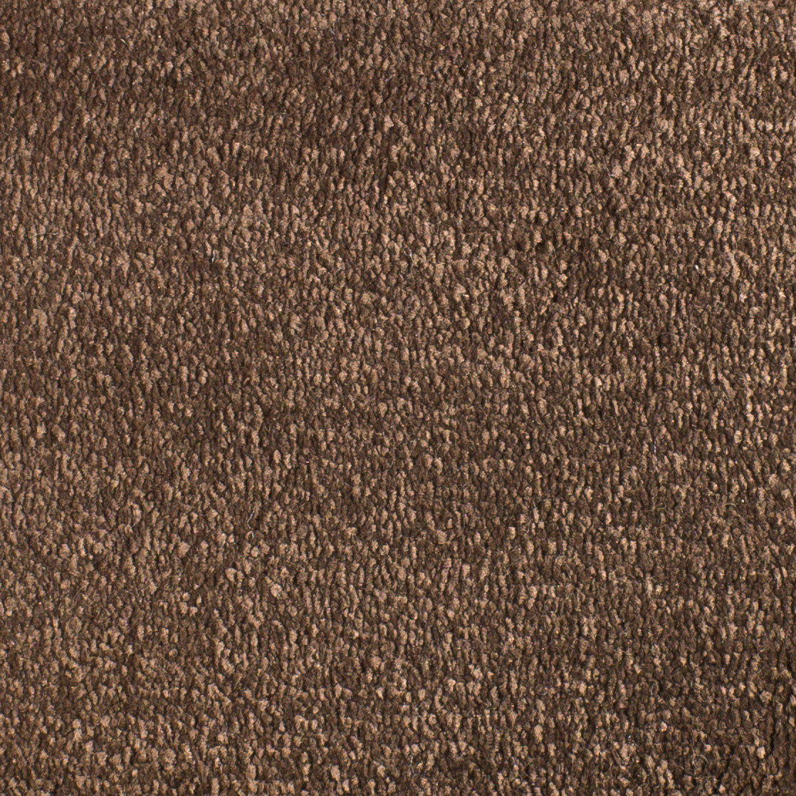 Serendipity Carpet