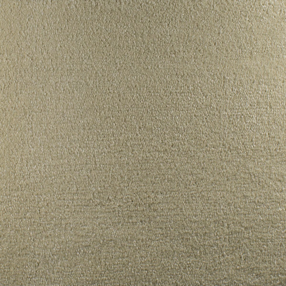 Serendipity Carpet