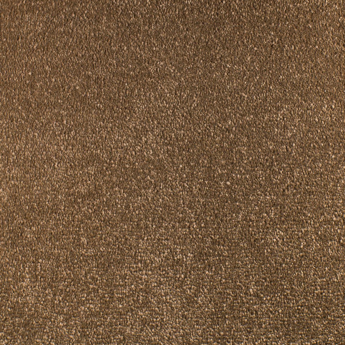 Serendipity Carpet