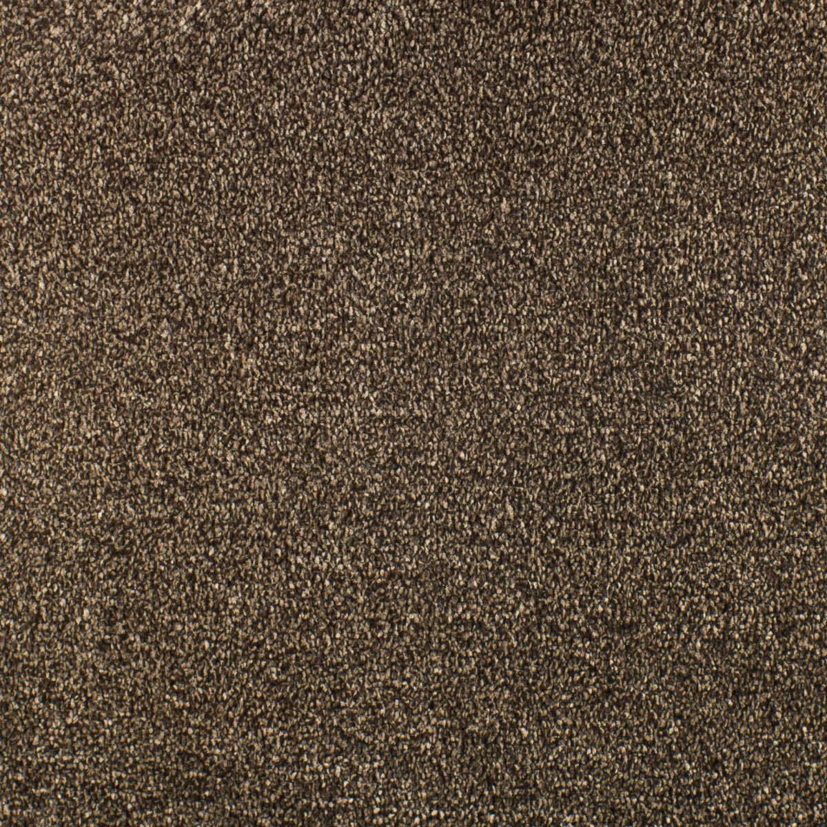 Serendipity Carpet