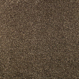 Serendipity Carpet